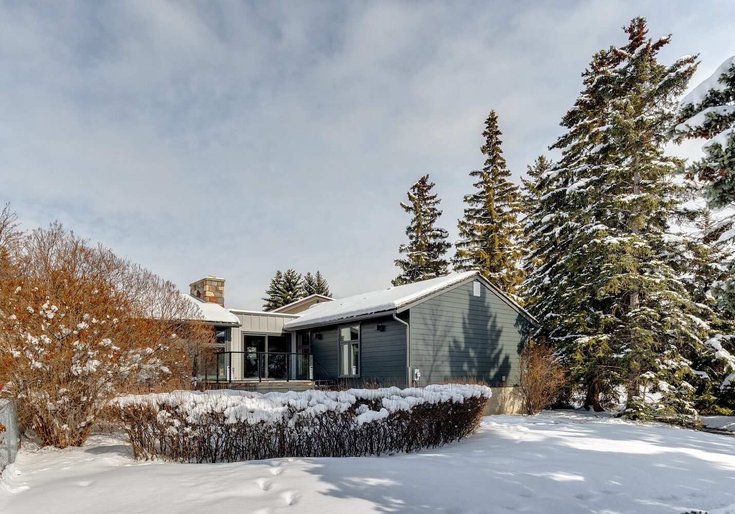 Rear Elevation - Backyard